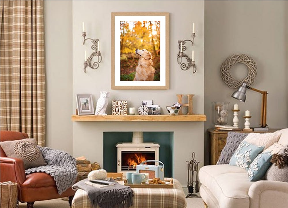 frame of golden retriever above fireplace